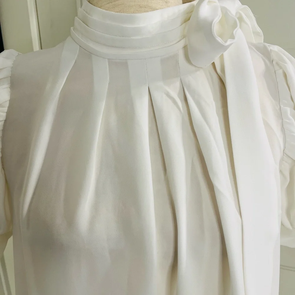 Gracia Pleated Blouse - Picture 9 of 11